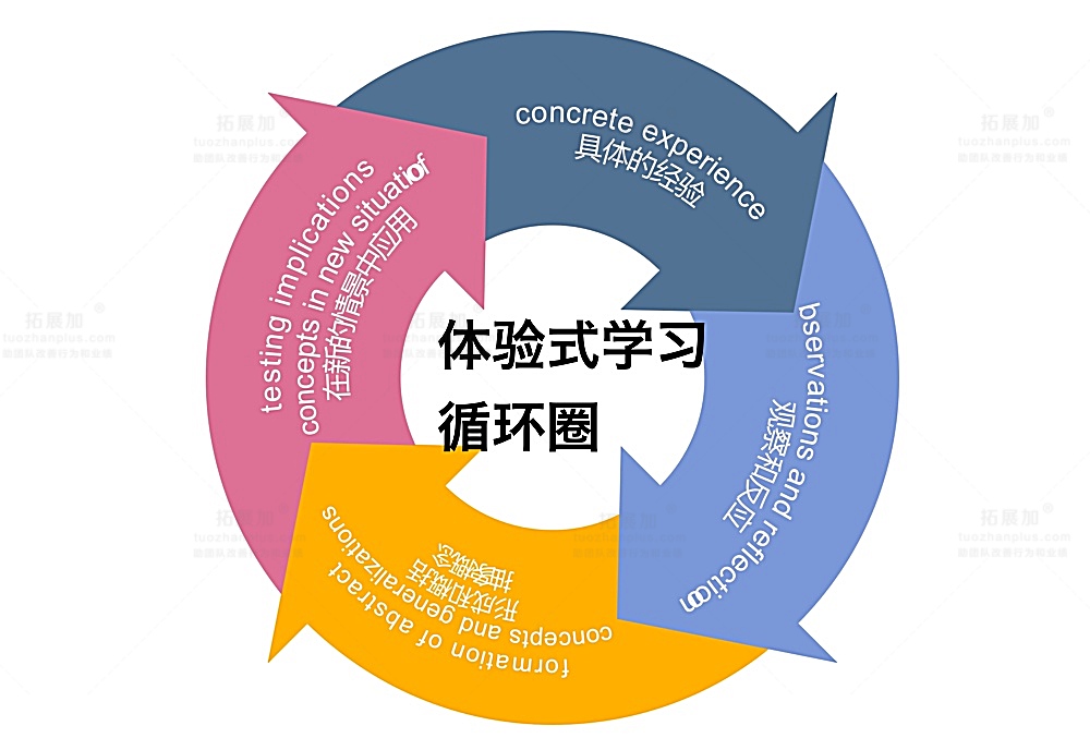 体验式学习循环