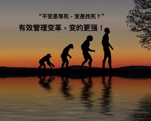 催化变革，推动变革！