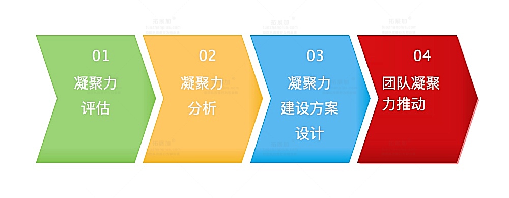团队凝聚力建设的步骤